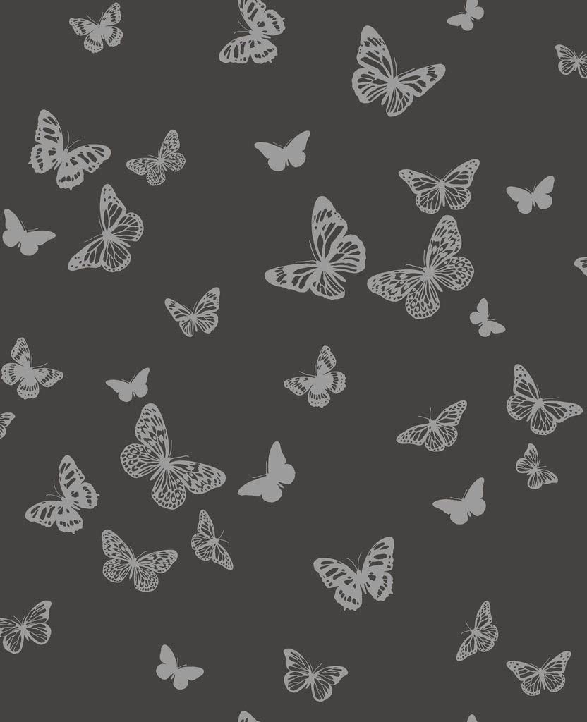 Black Butterfly Wallpapers