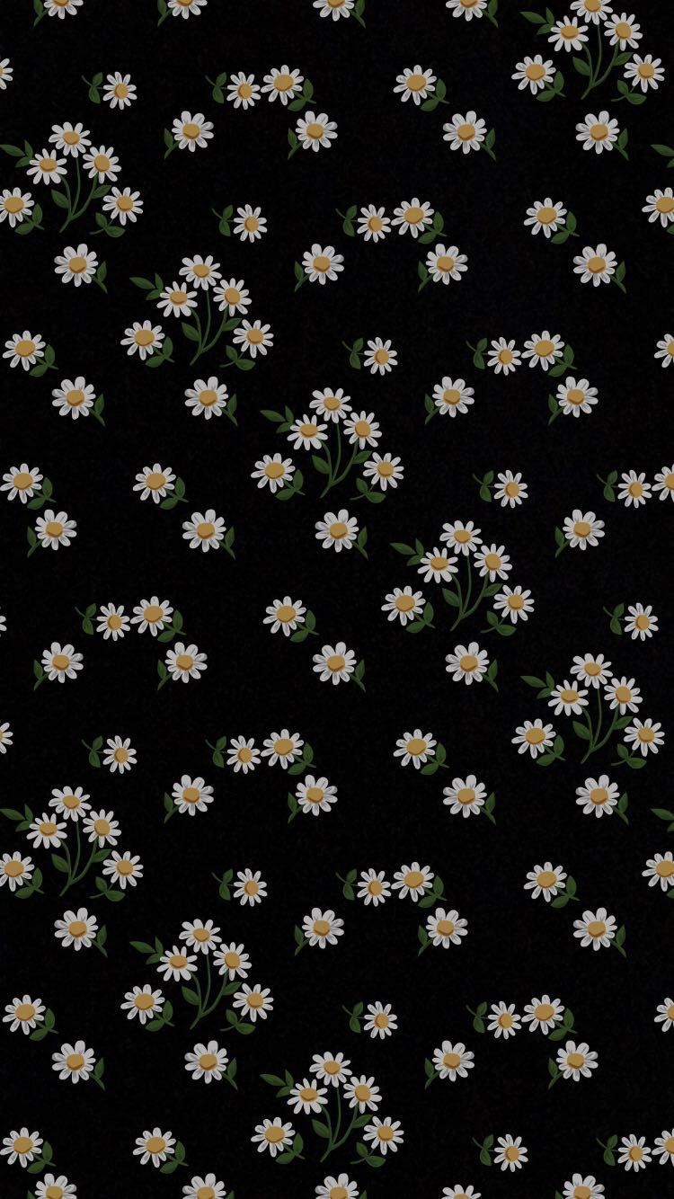 Black Daisy Wallpapers