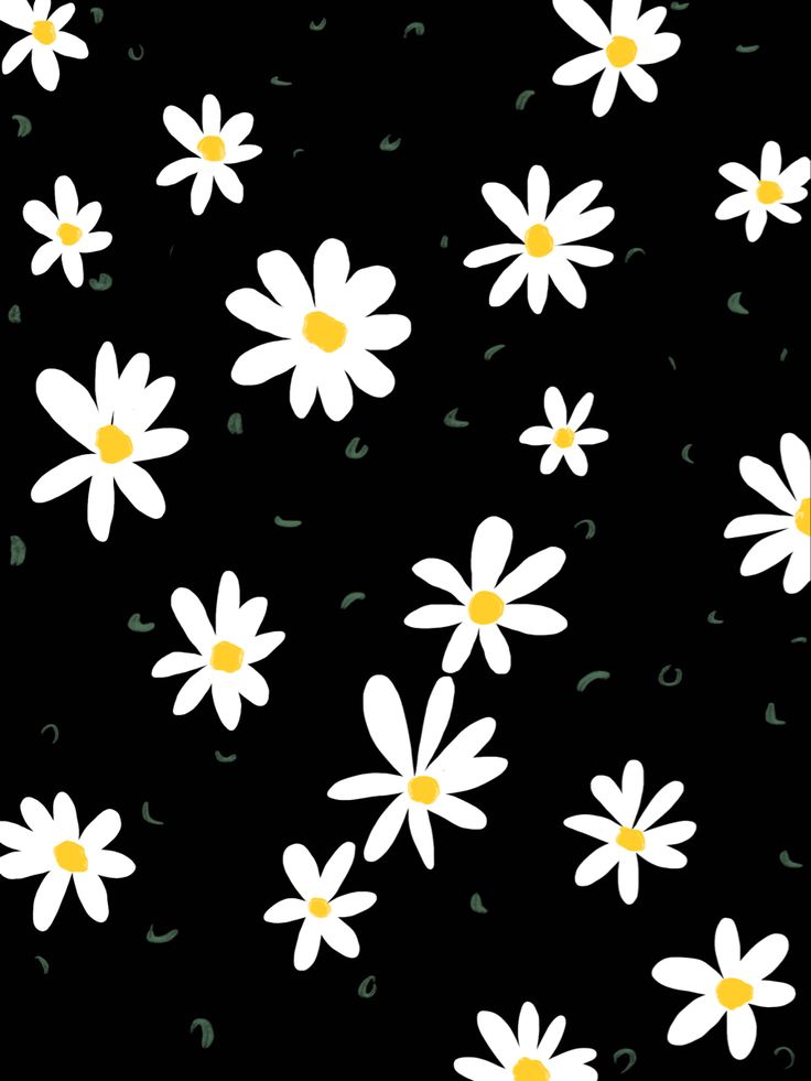 Black Daisy Wallpapers