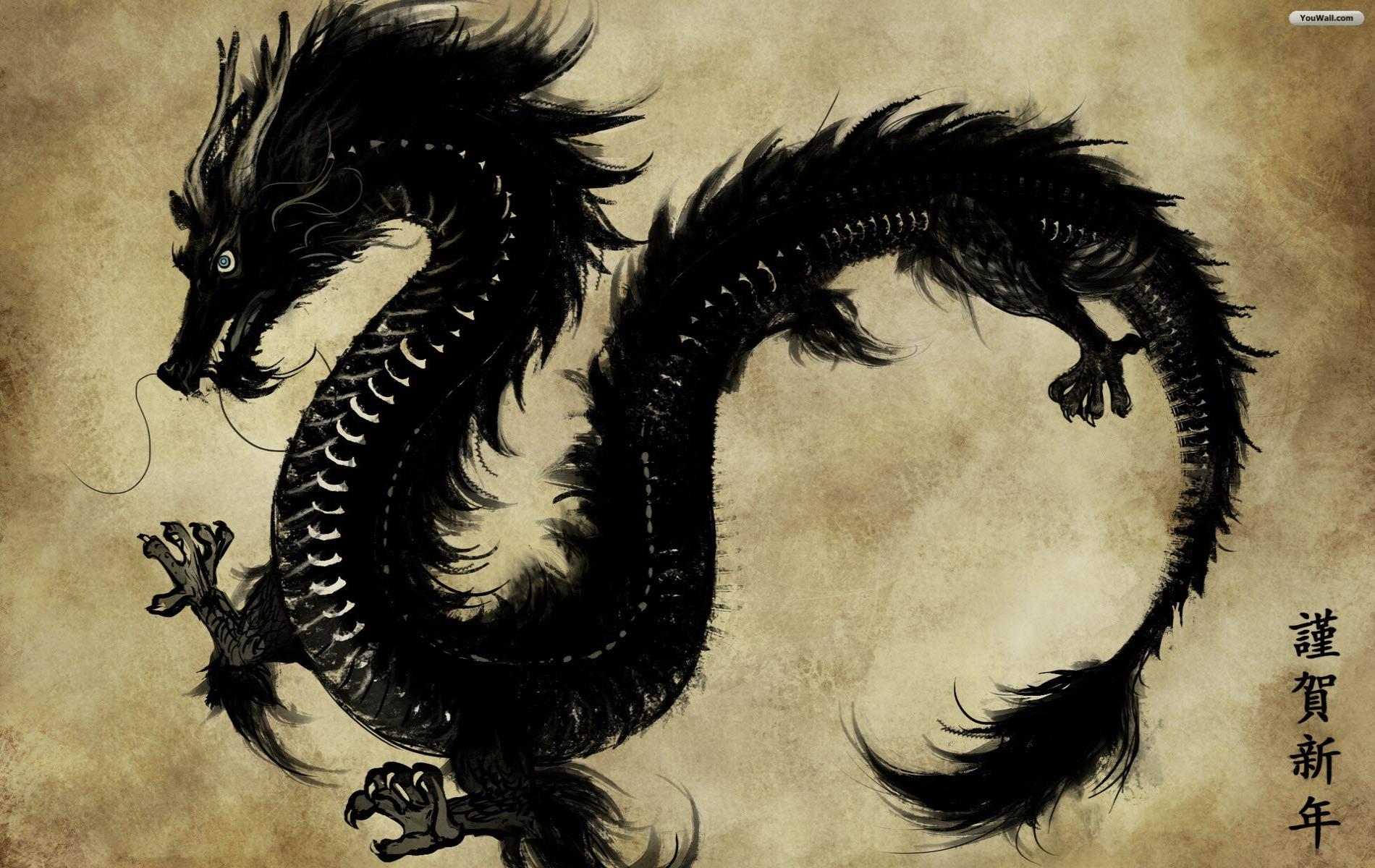 Black Dragon Wallpapers