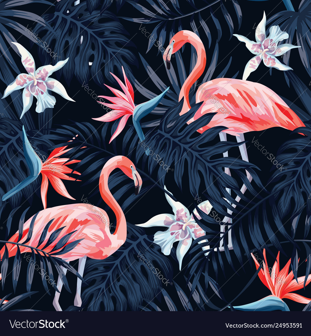 Black Flamingo Wallpapers