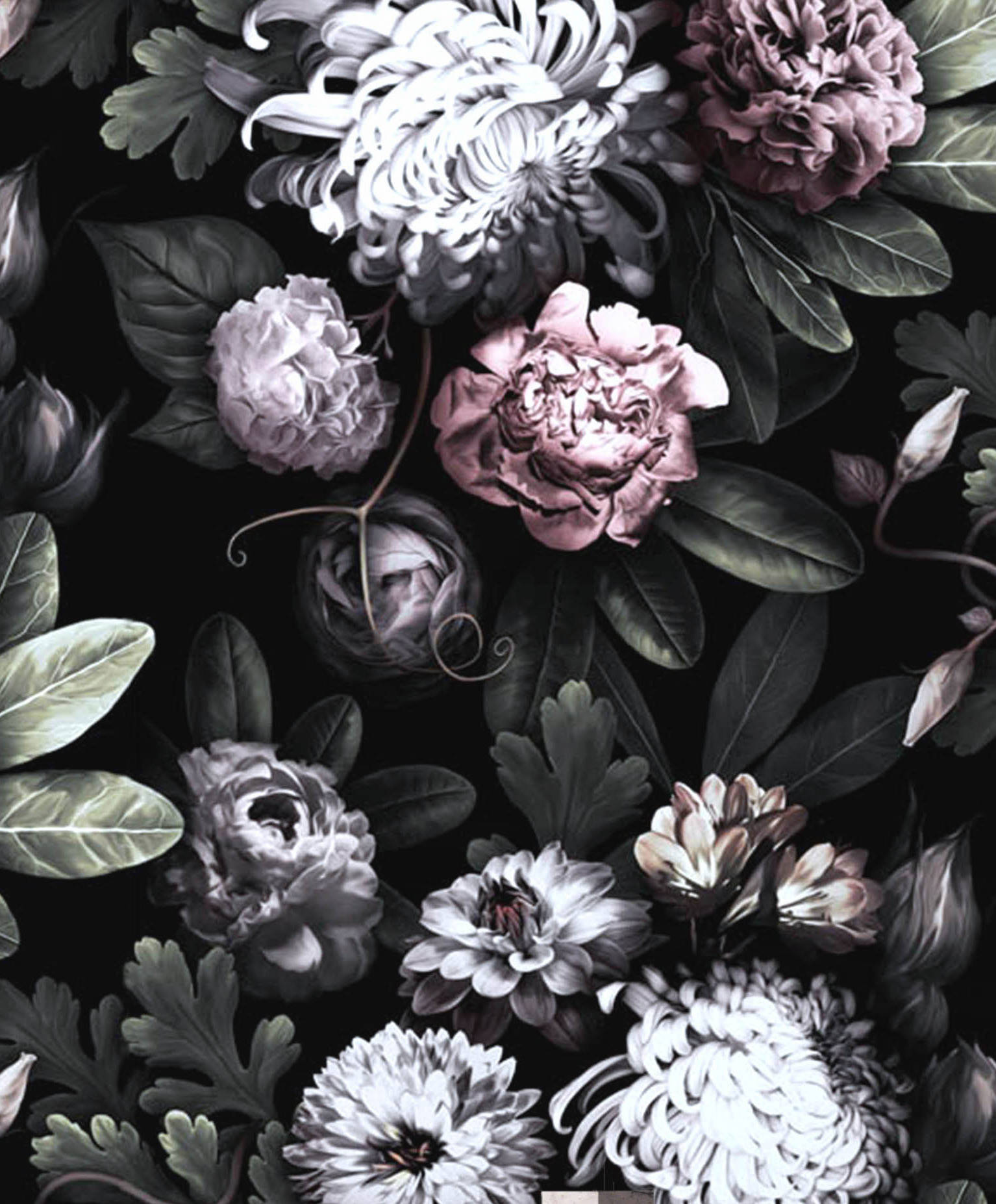 Black Floral Wallpapers