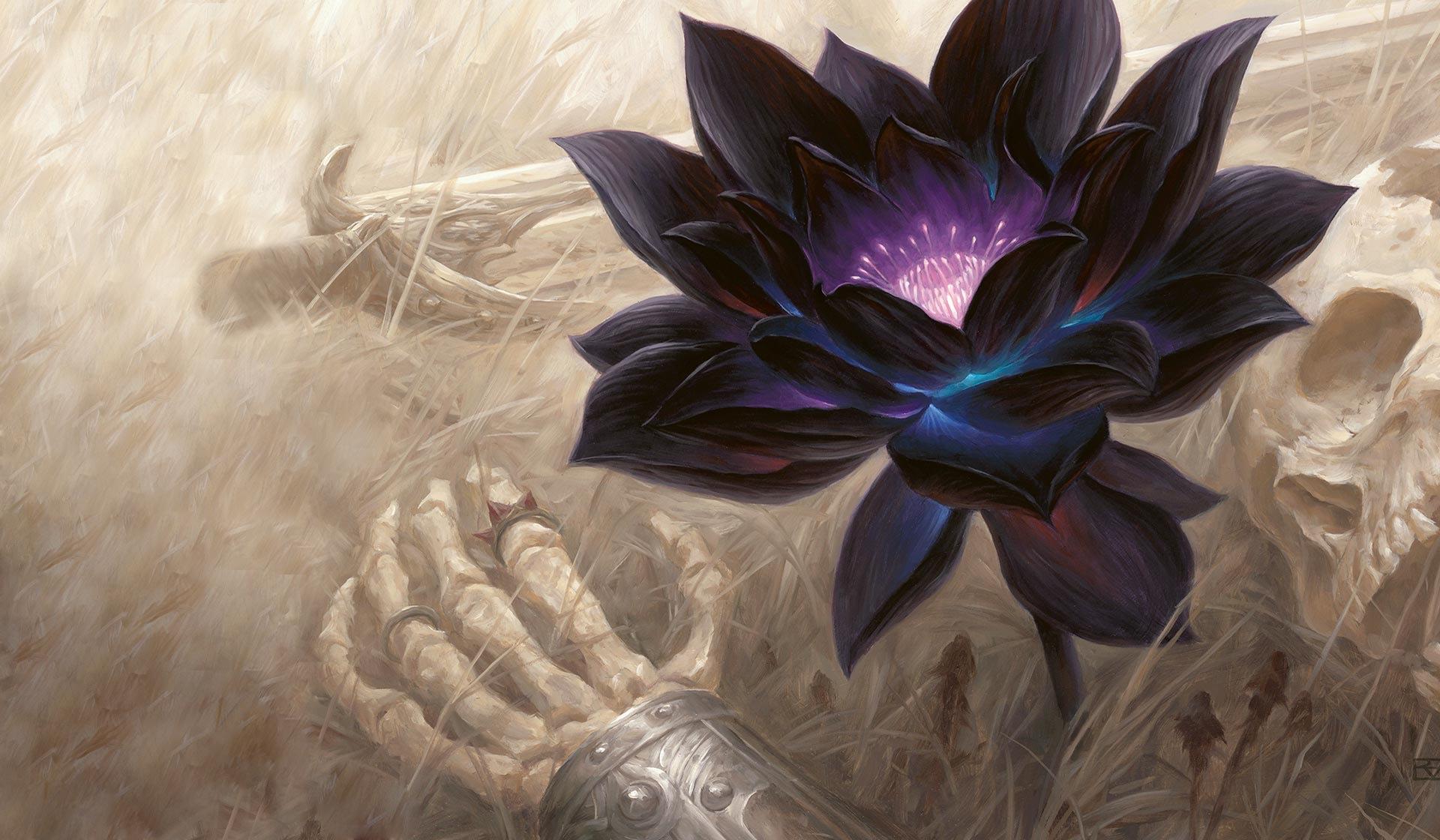 Black Lotus Wallpapers