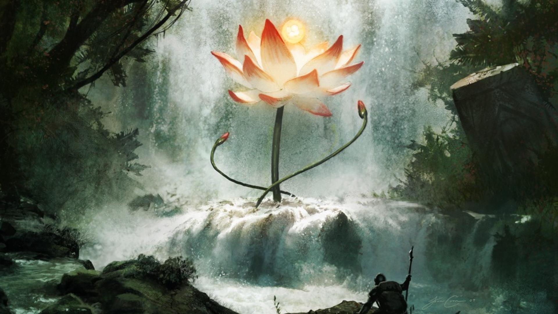 Black Lotus Wallpapers