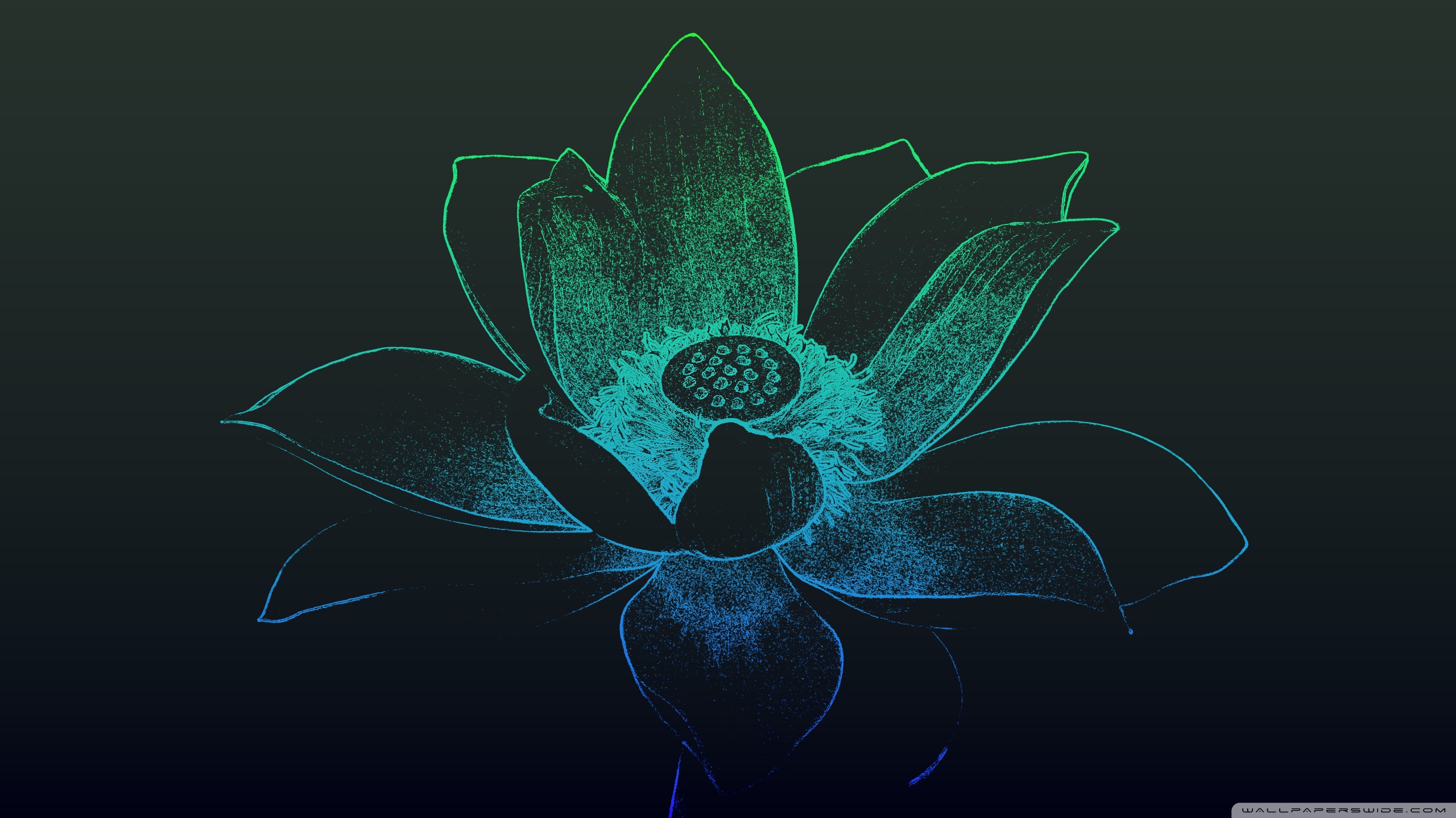 Black Lotus Wallpapers