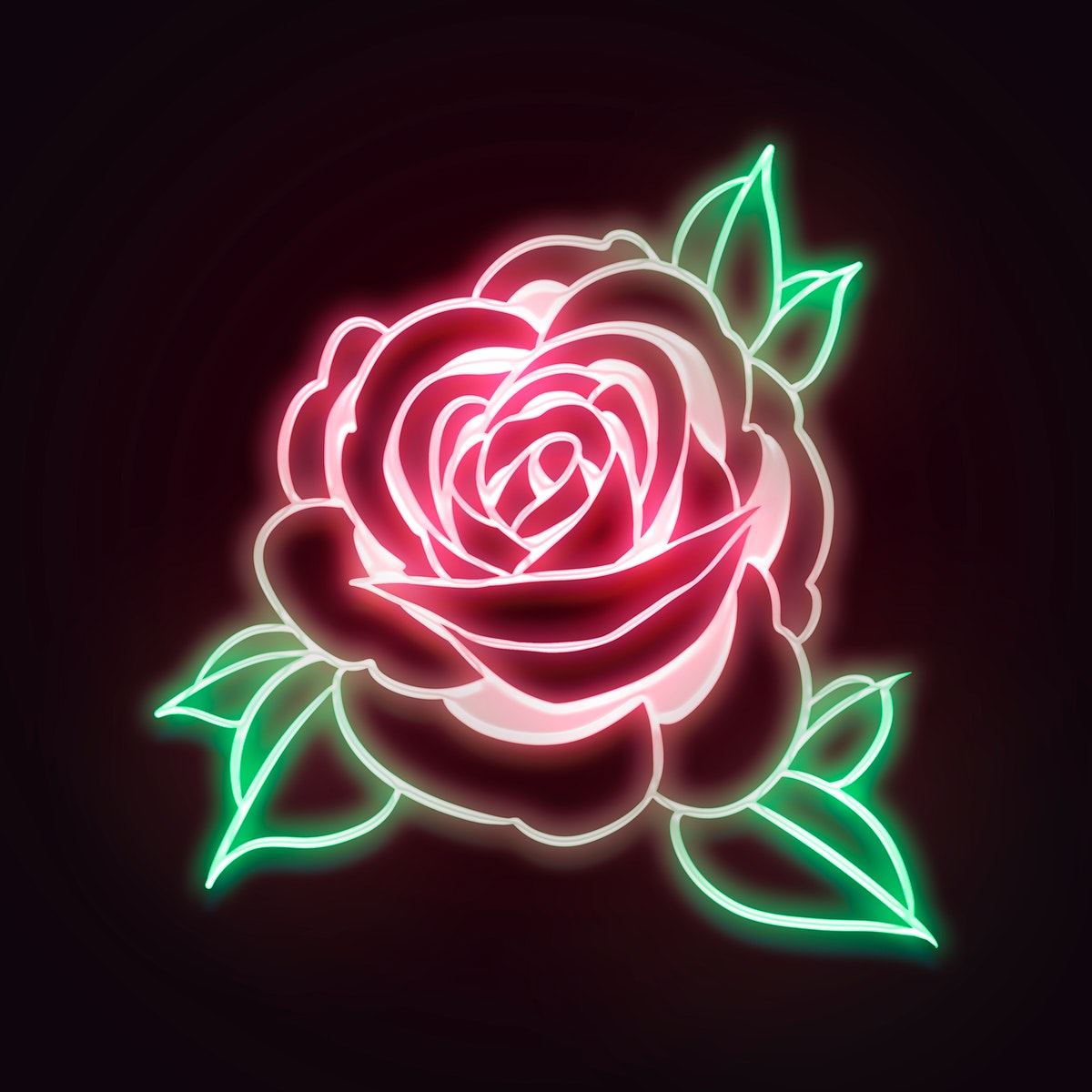 Black Neon Rose Wallpapers