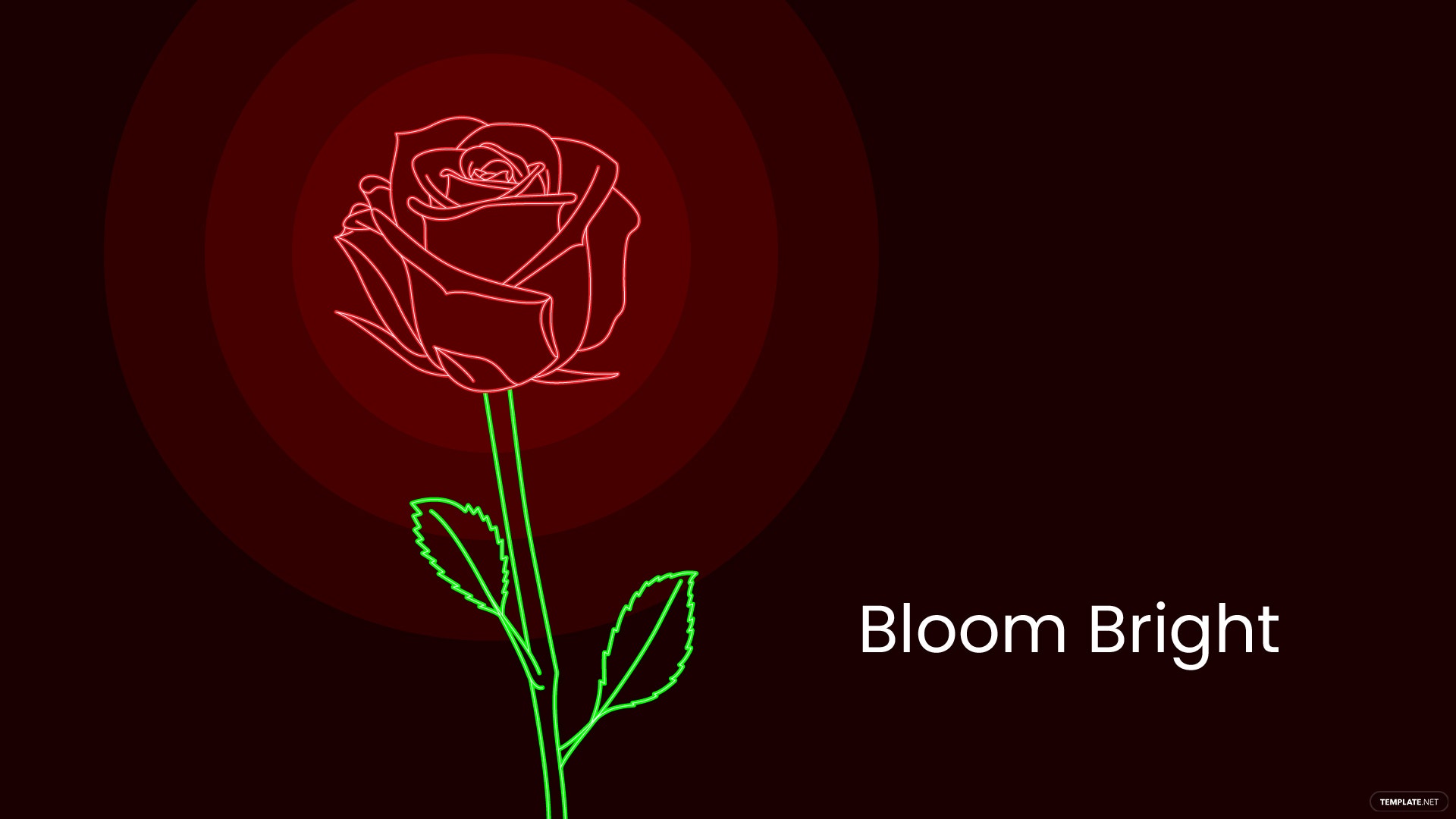 Black Neon Rose Wallpapers