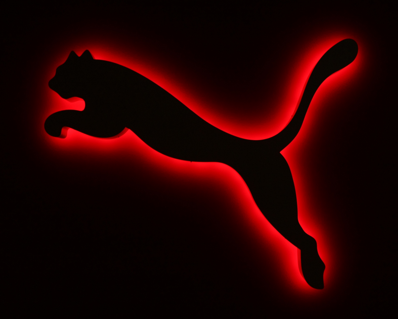 Black Puma Pictures Wallpapers