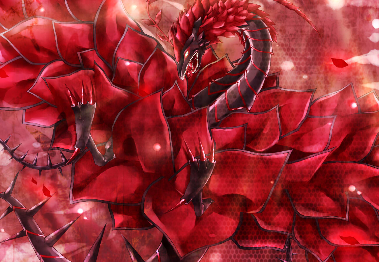 Black Rose Dragon Wallpapers