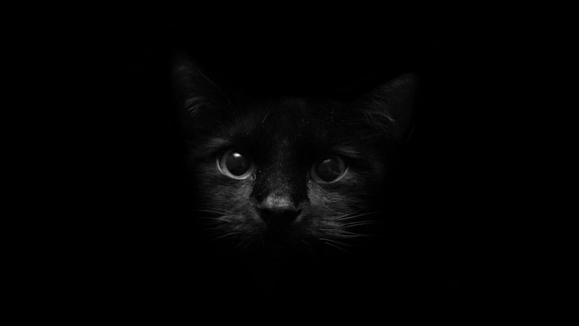 Black Screen 4K Wallpapers