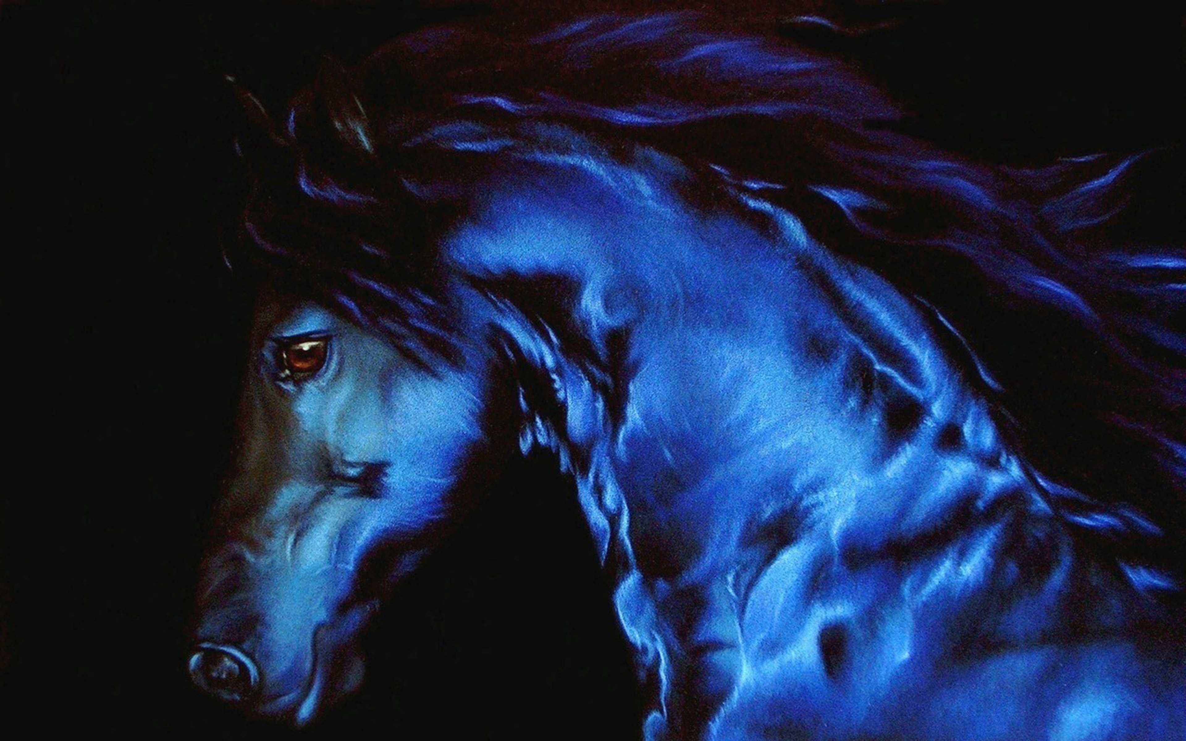 Black Stallion Wallpapers