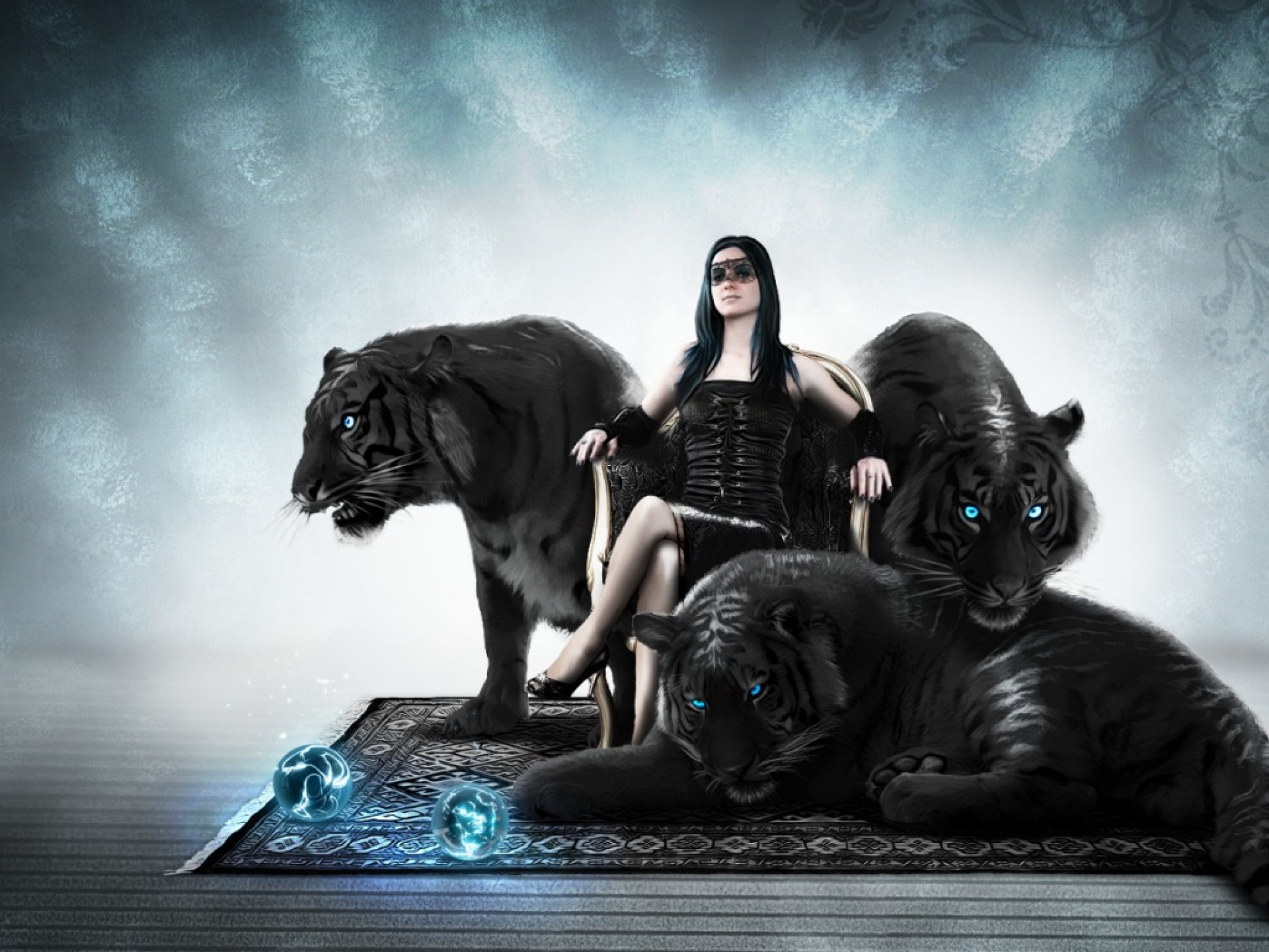 Black Tiger Wallpapers