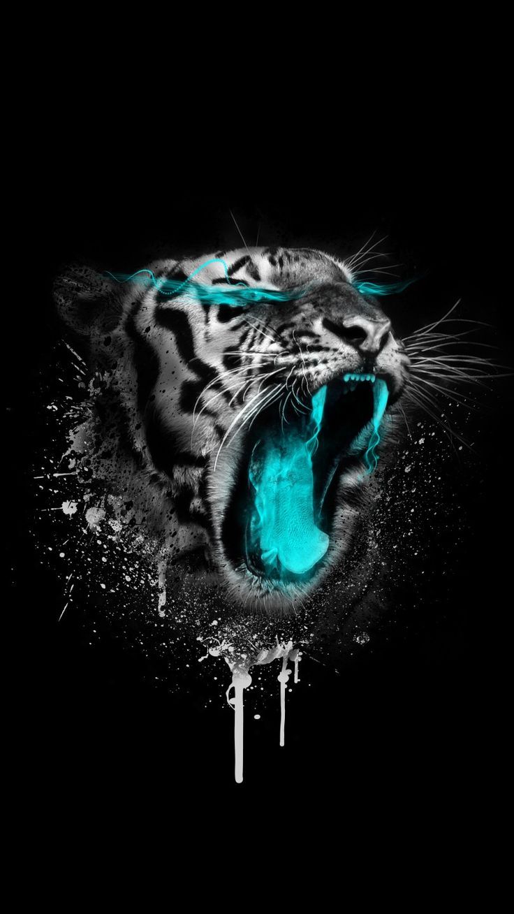 Black Tiger Wallpapers