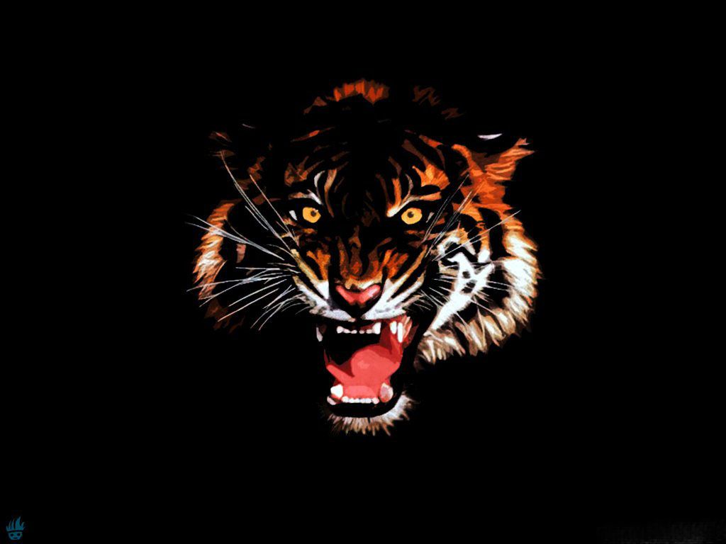 Black Tiger Hd Wallpapers