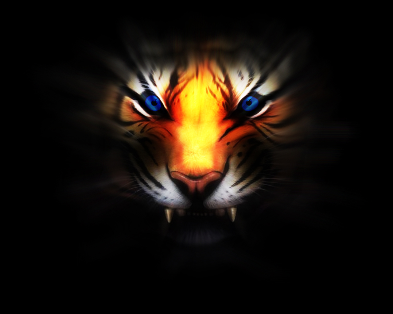 Black Tiger Hd Wallpapers