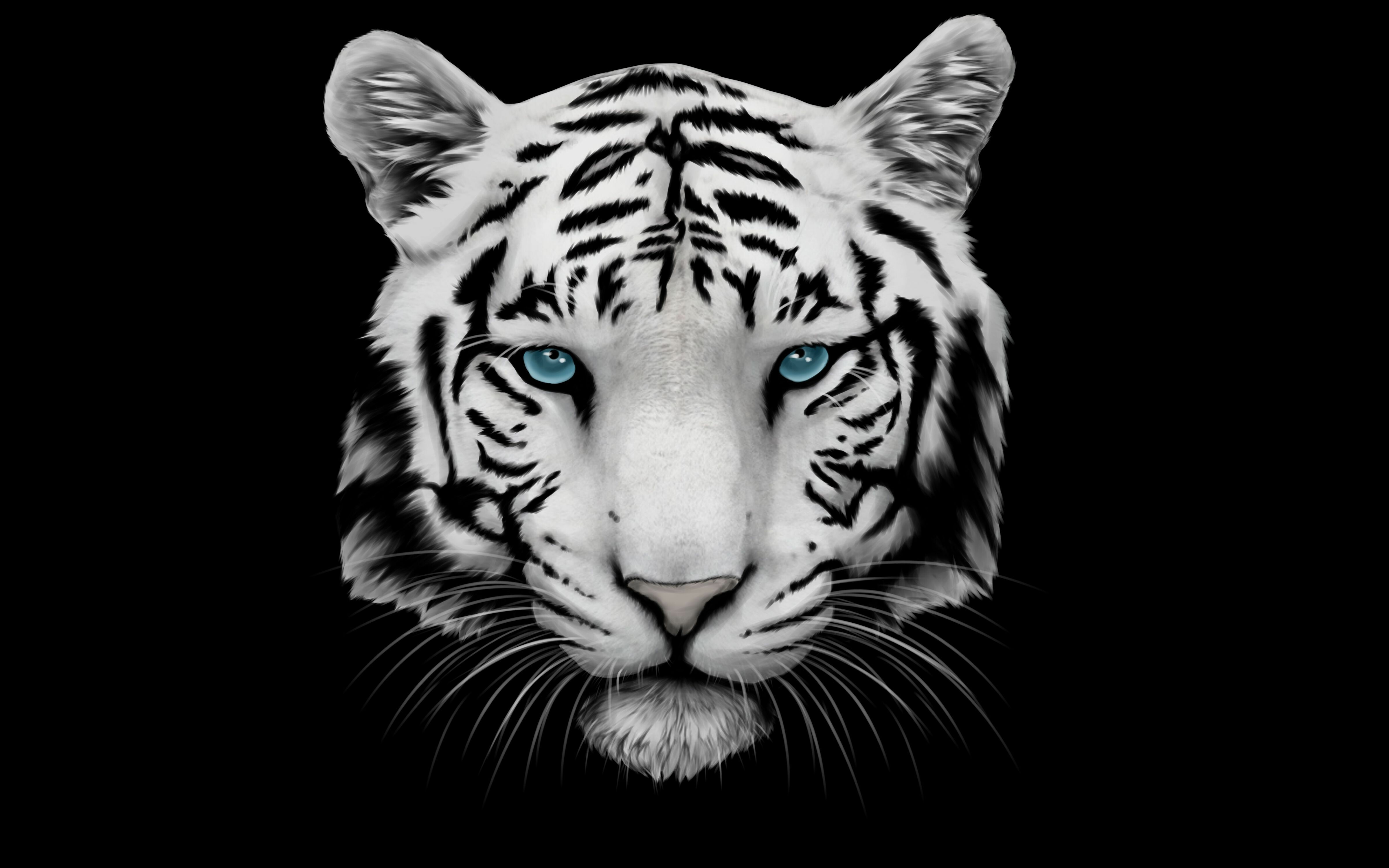 Black Tiger Hd Wallpapers