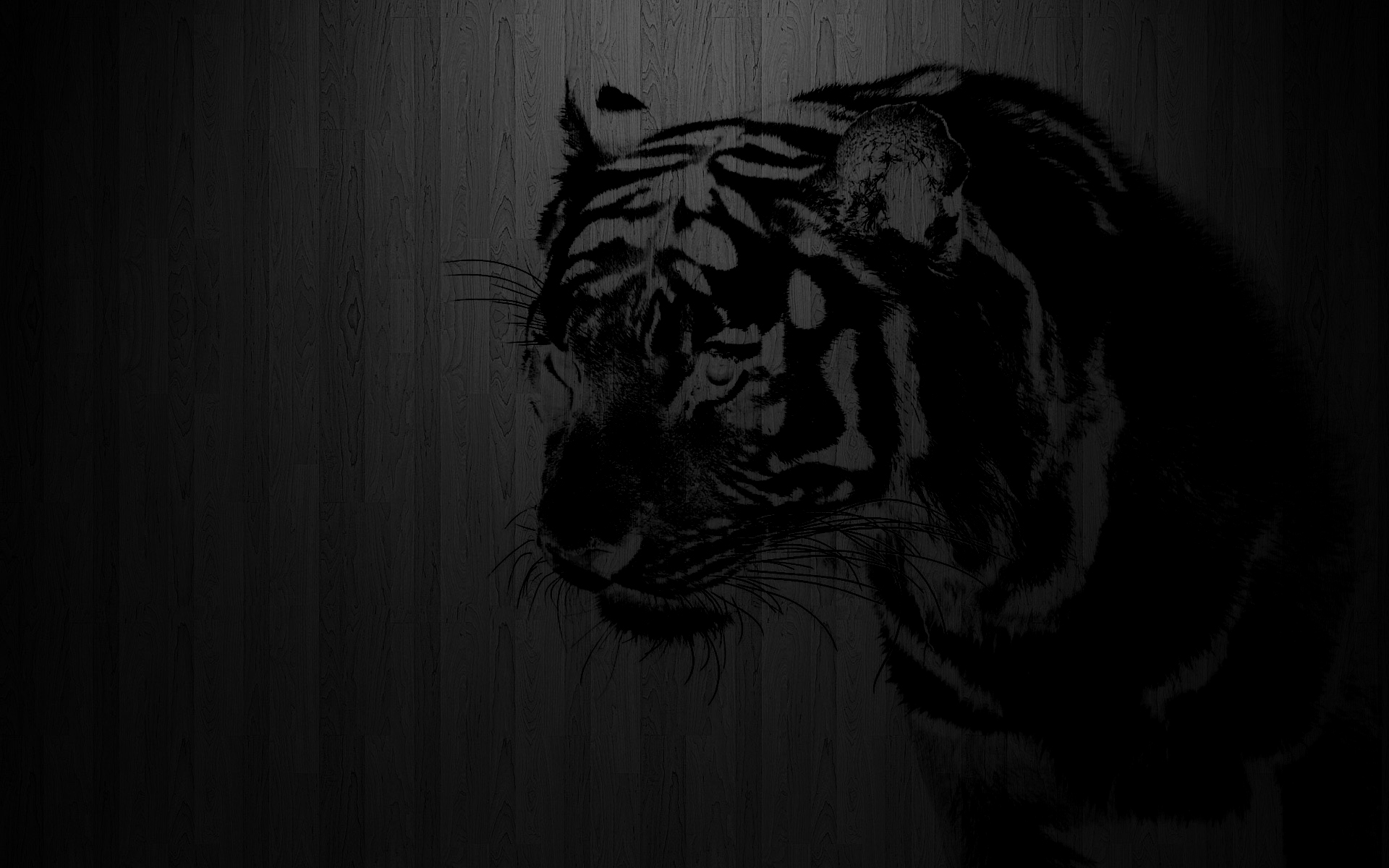 Black Tiger Hd Wallpapers