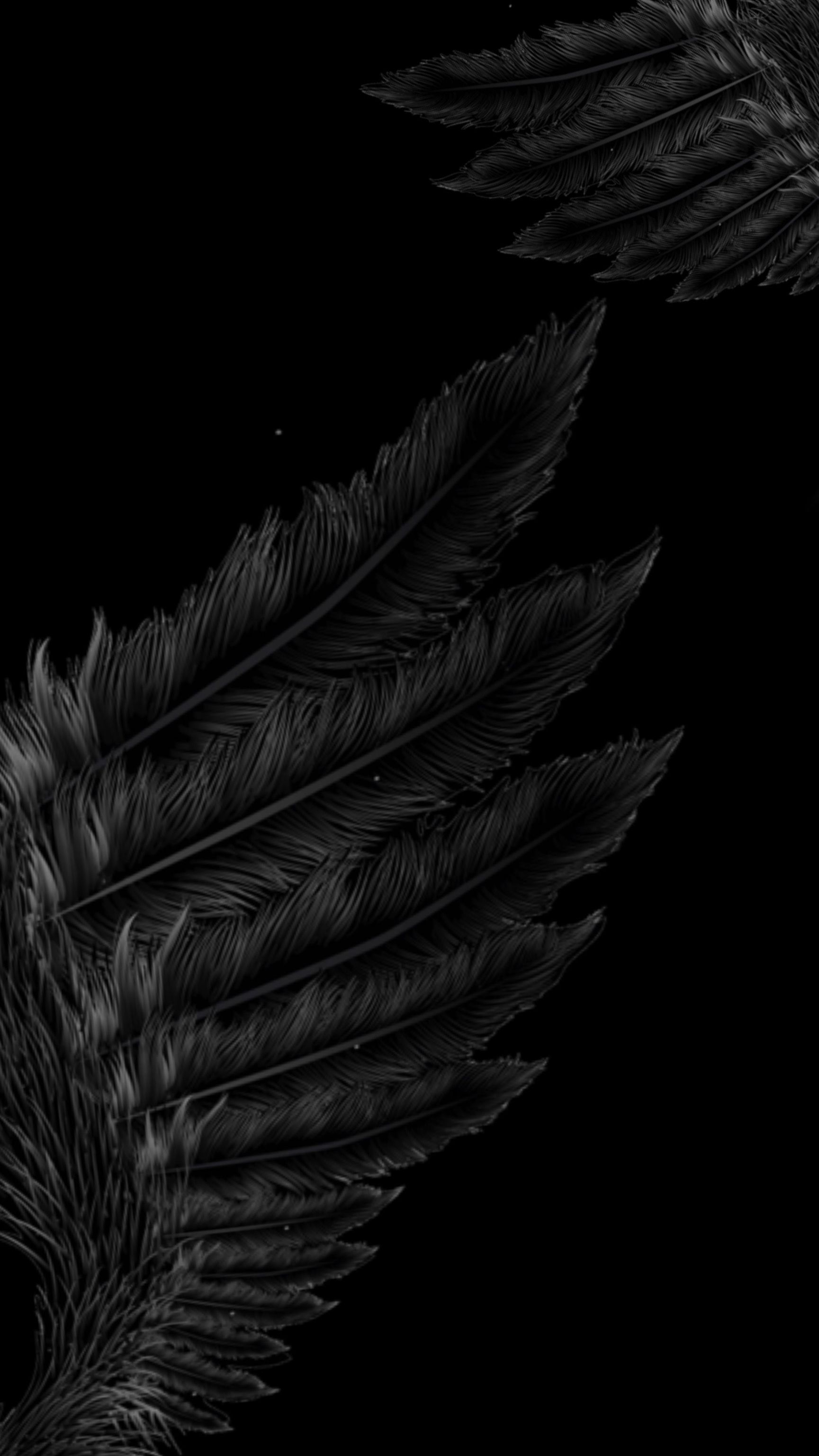 Black Wings Wallpapers