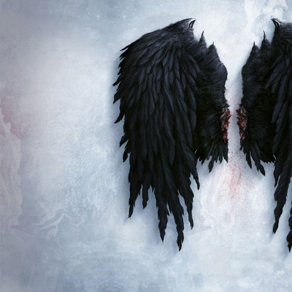 Black Wings Wallpapers