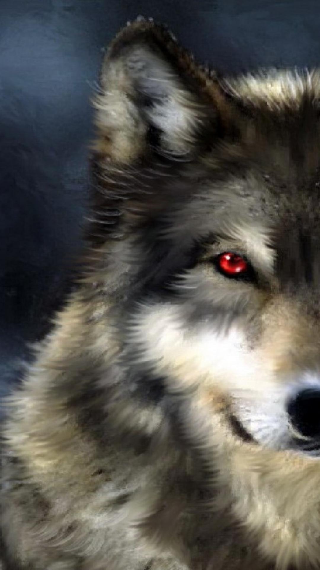 Black Wolf Red Eyes Wallpapers