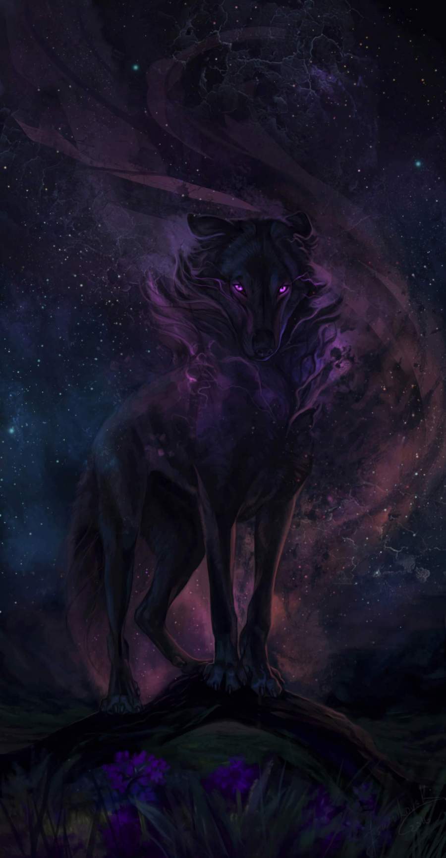 Black Wolf Wallpapers