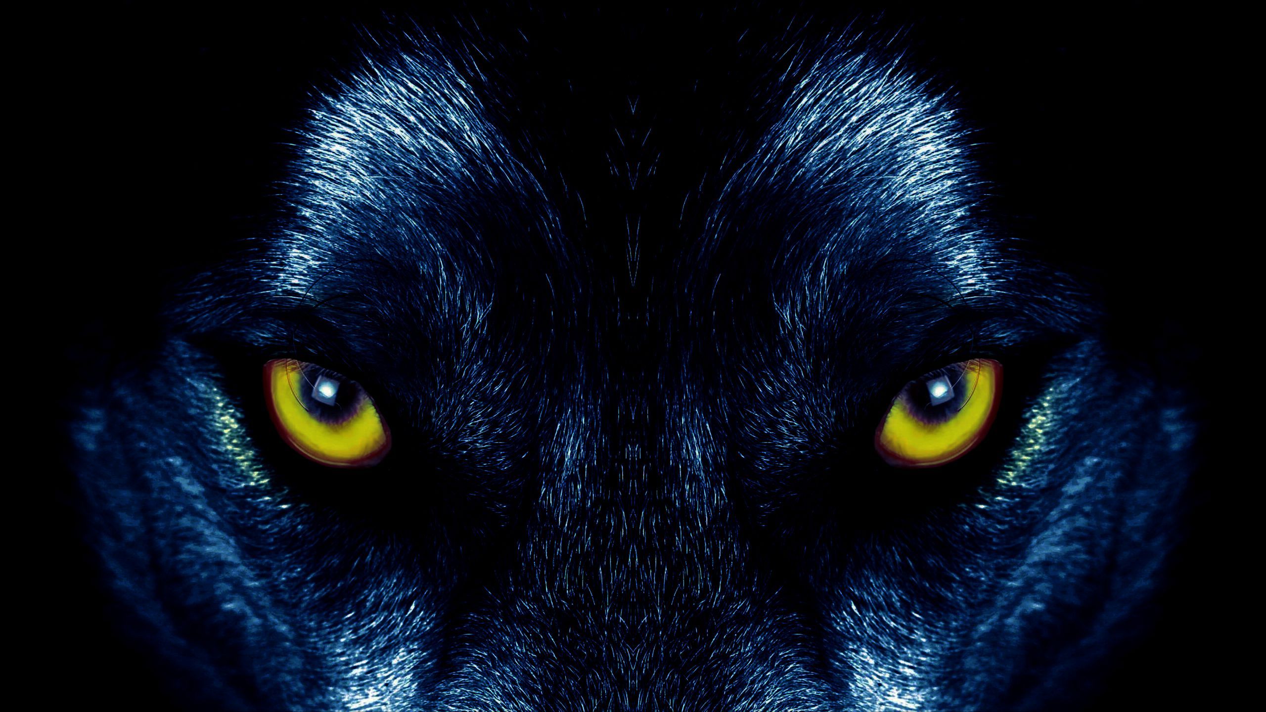 Black Wolves With Blue Eyes Wallpapers