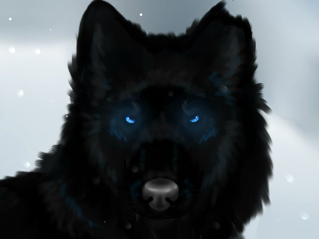 Black Wolves With Blue Eyes Wallpapers