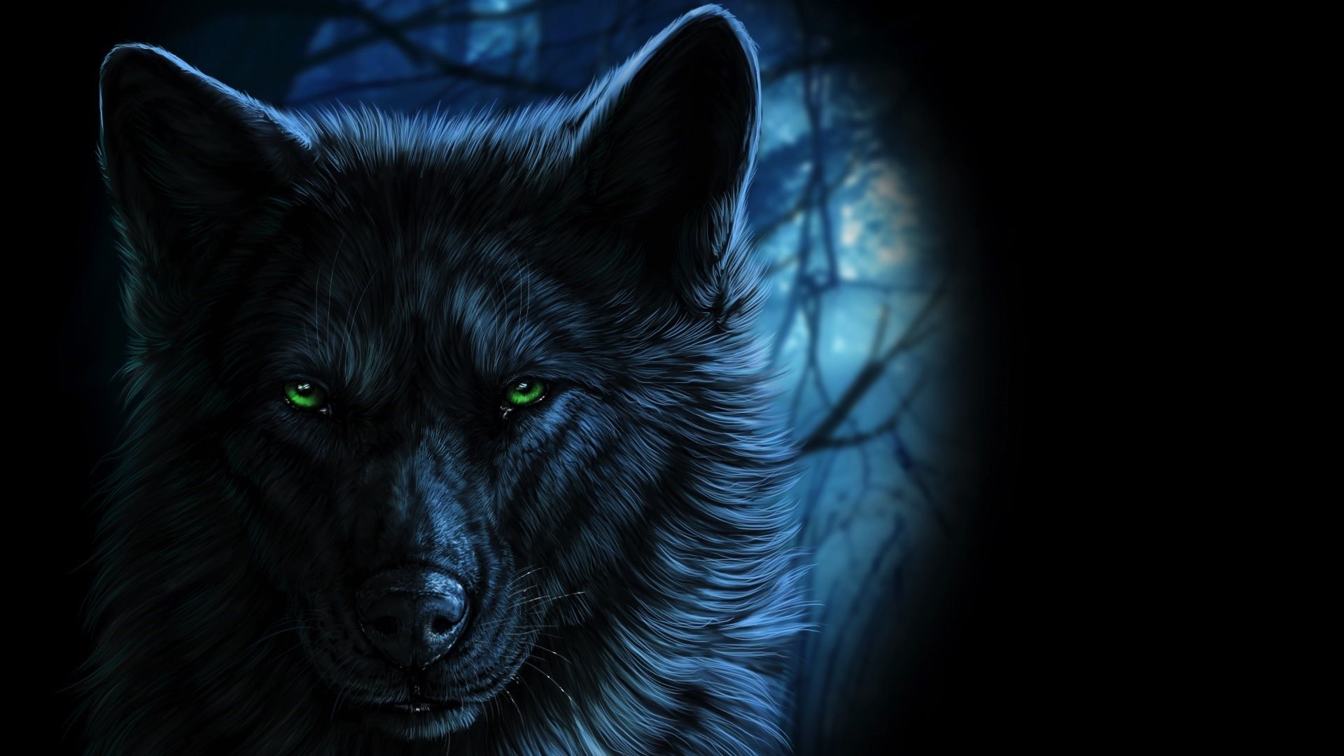 Black Wolves With Blue Eyes Wallpapers