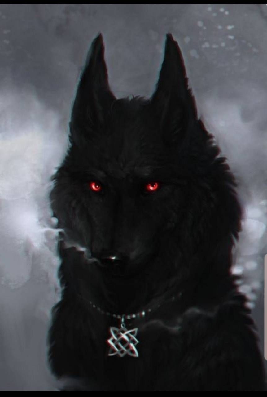 Black Wolves With Blue Eyes Wallpapers