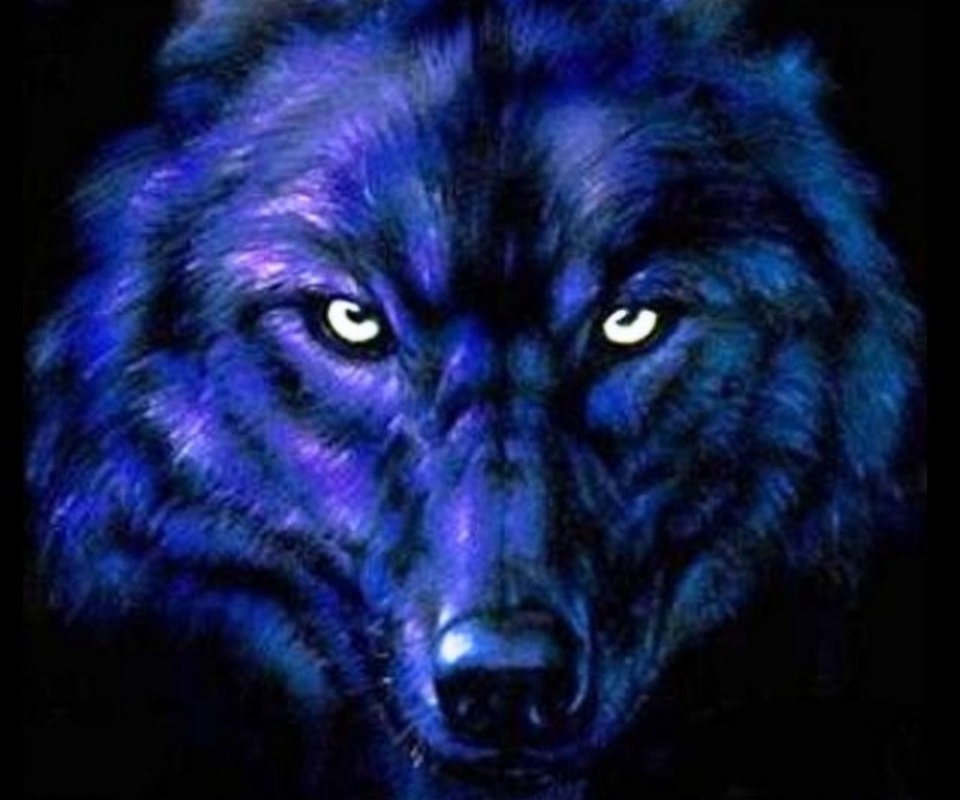 Black Wolves With Blue Eyes Wallpapers