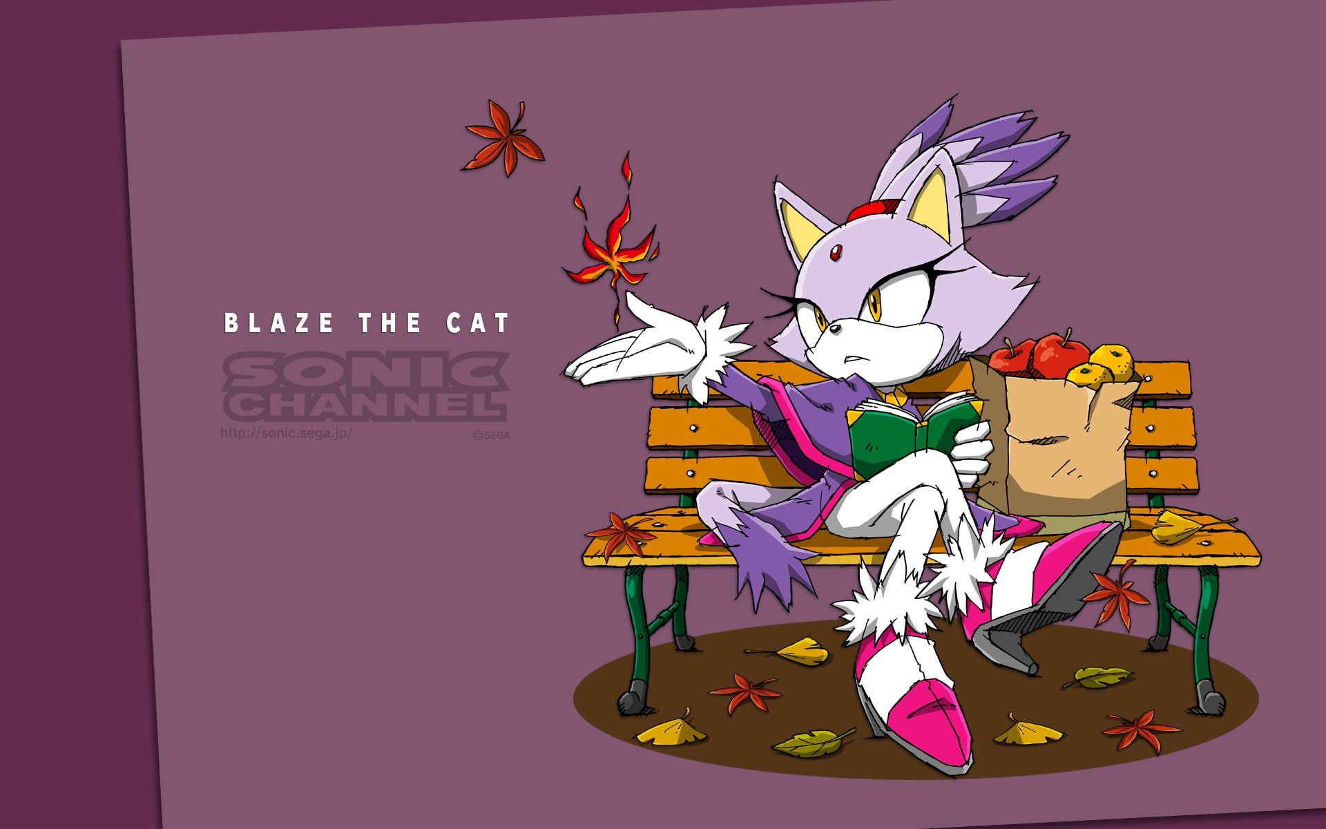 Blaze The Cat Wallpapers