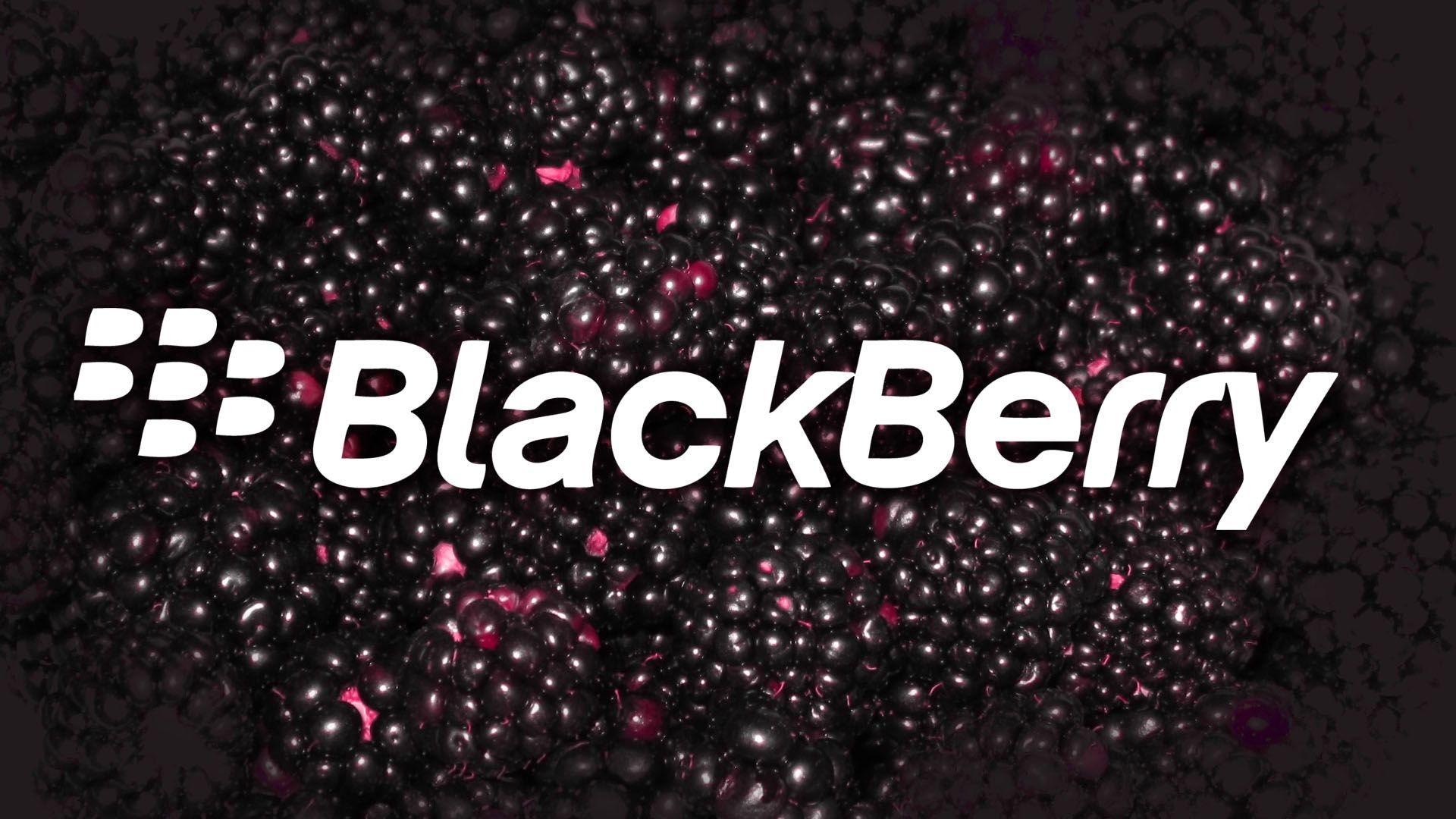 Blckberry Wallpapers