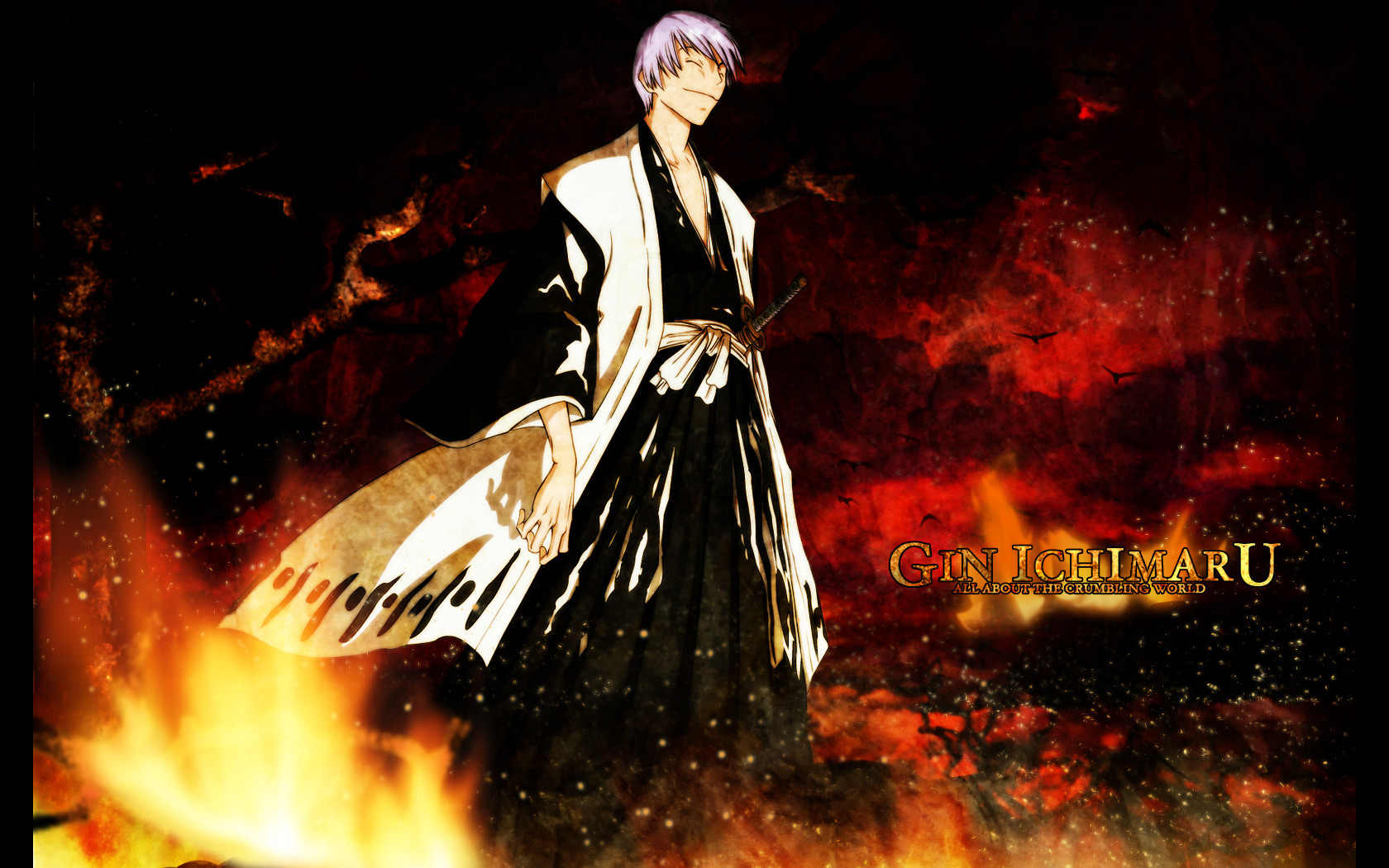 Bleach Gin Wallpapers