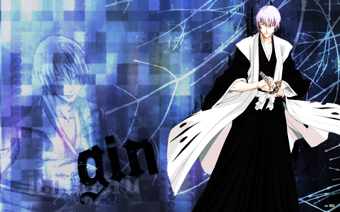 Bleach Gin Wallpapers