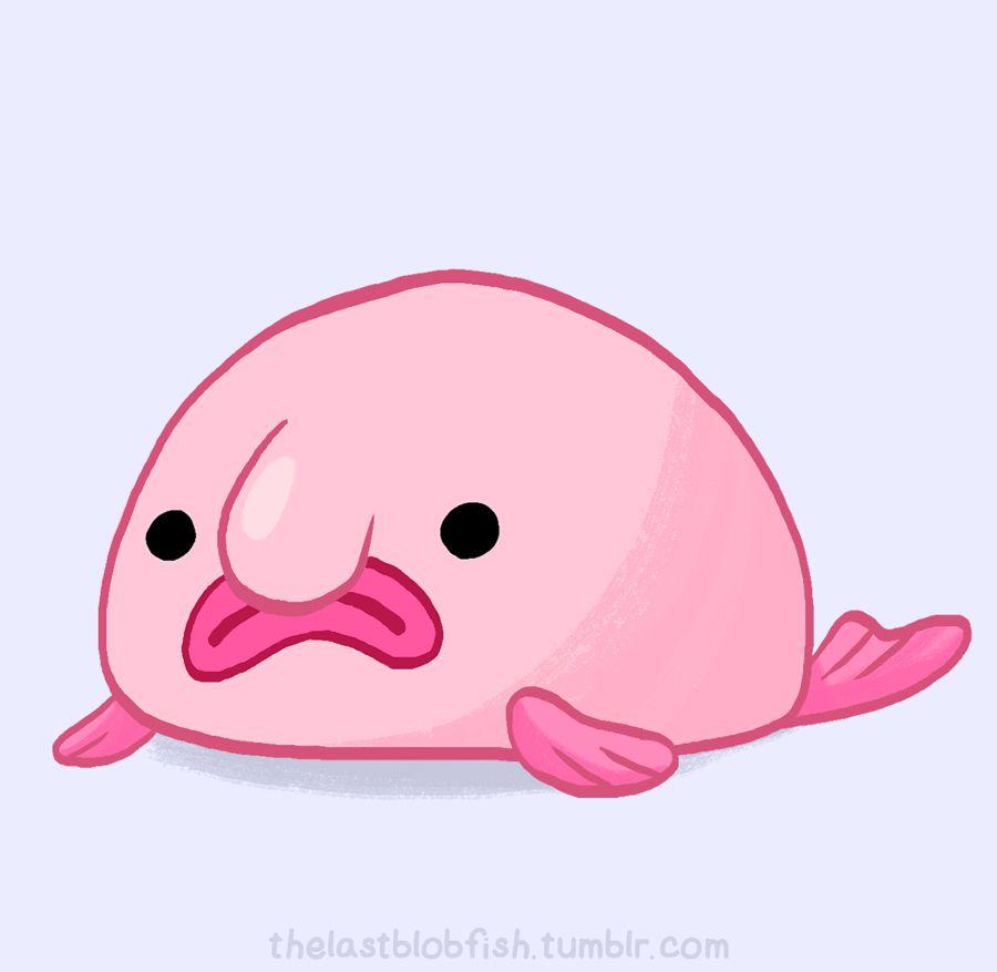 Blobfish Wallpapers