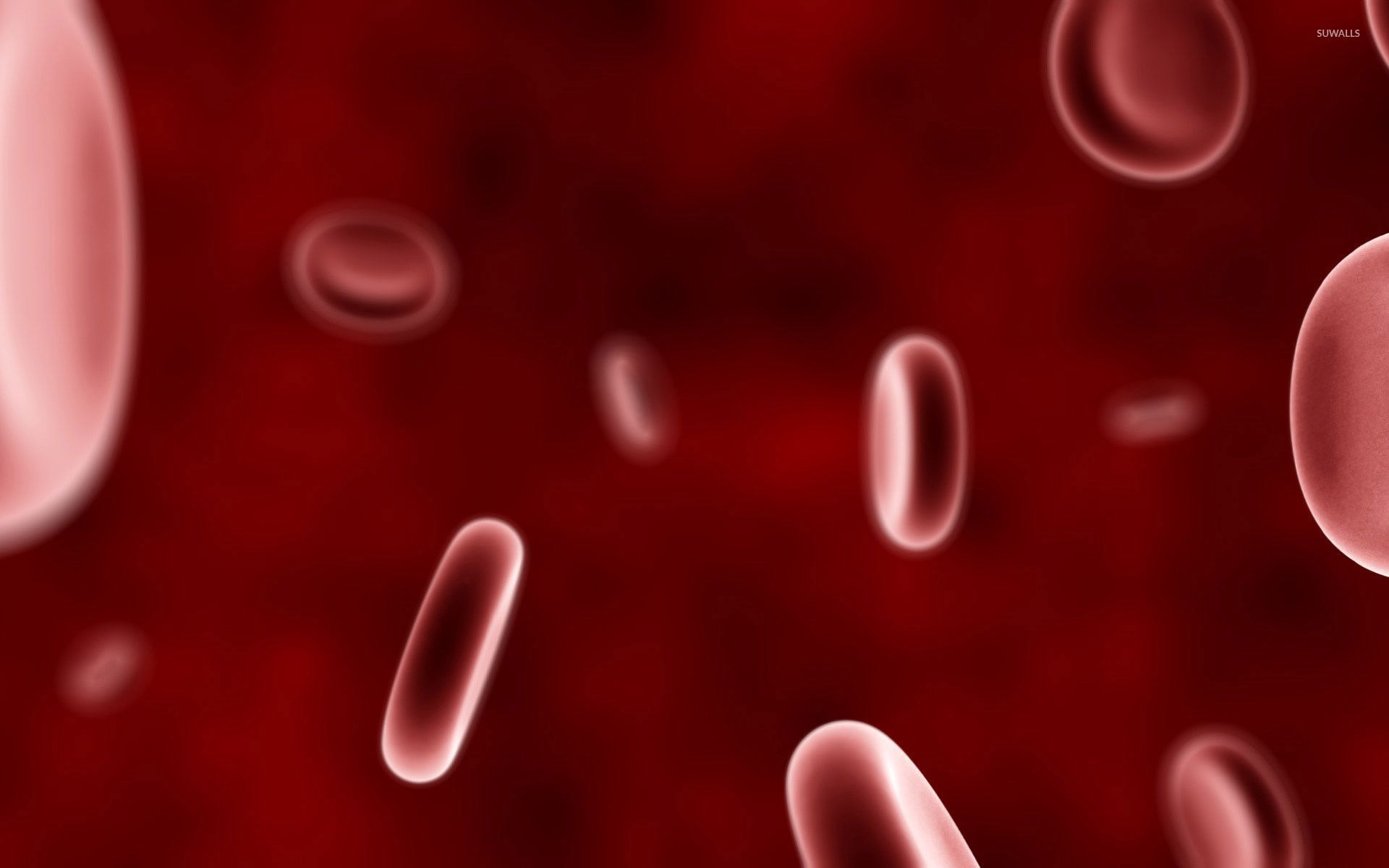Blood Cells Wallpapers