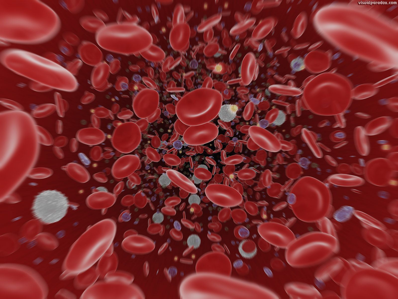 Blood Cells Wallpapers