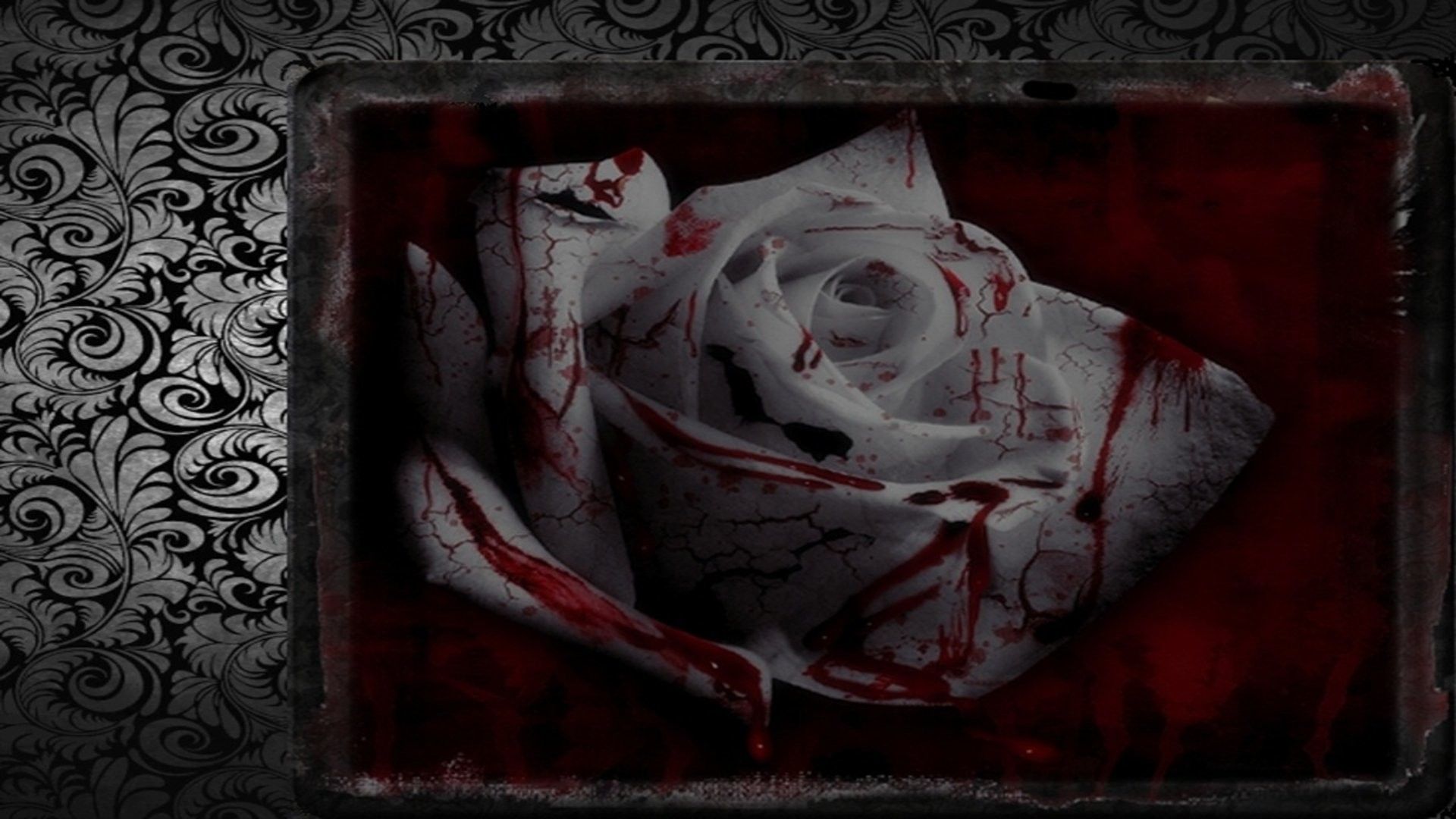 Bloody Roses Wallpapers
