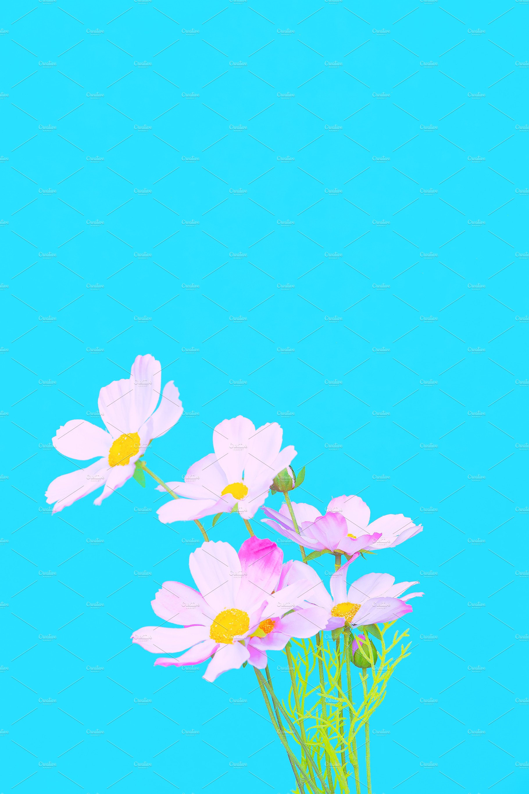 Blue Aesthetic Flowers Wallpapers