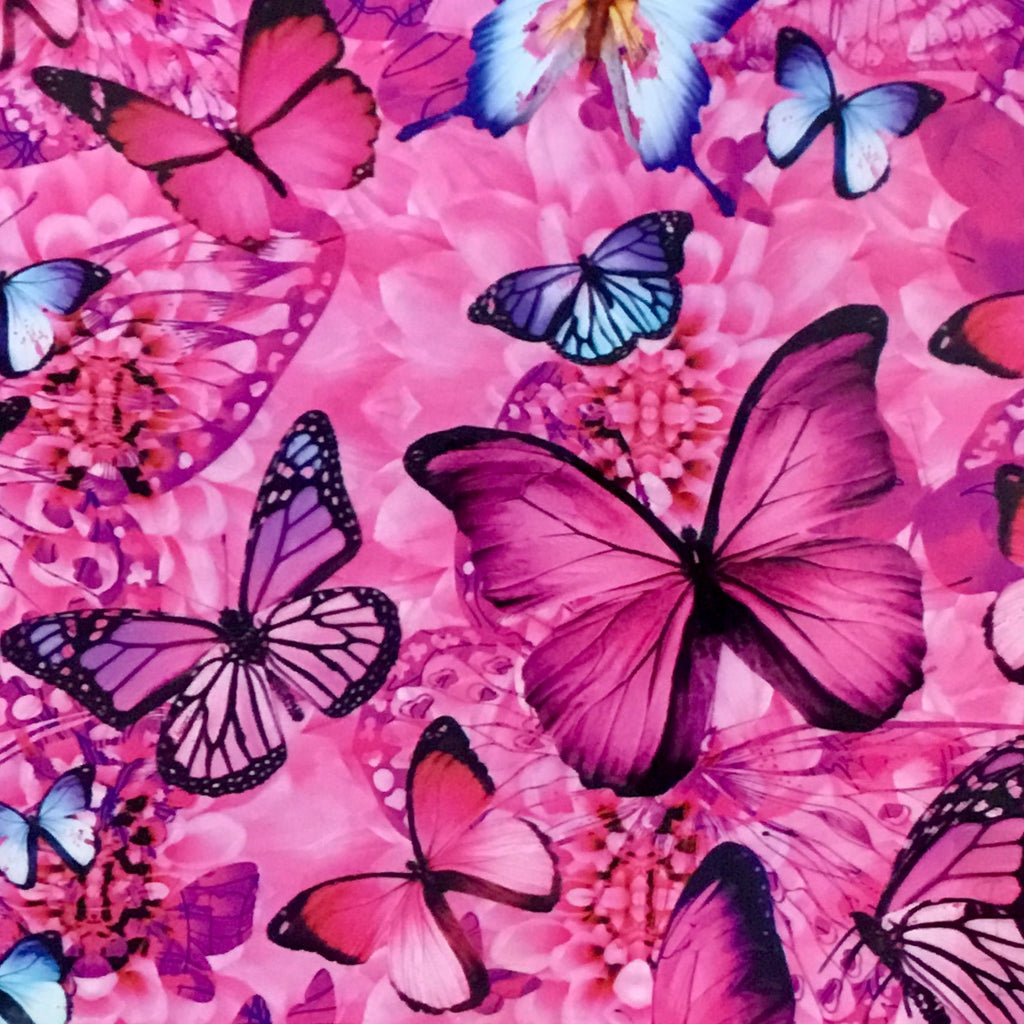 Blue And Pink Butterfly Wallpapers
