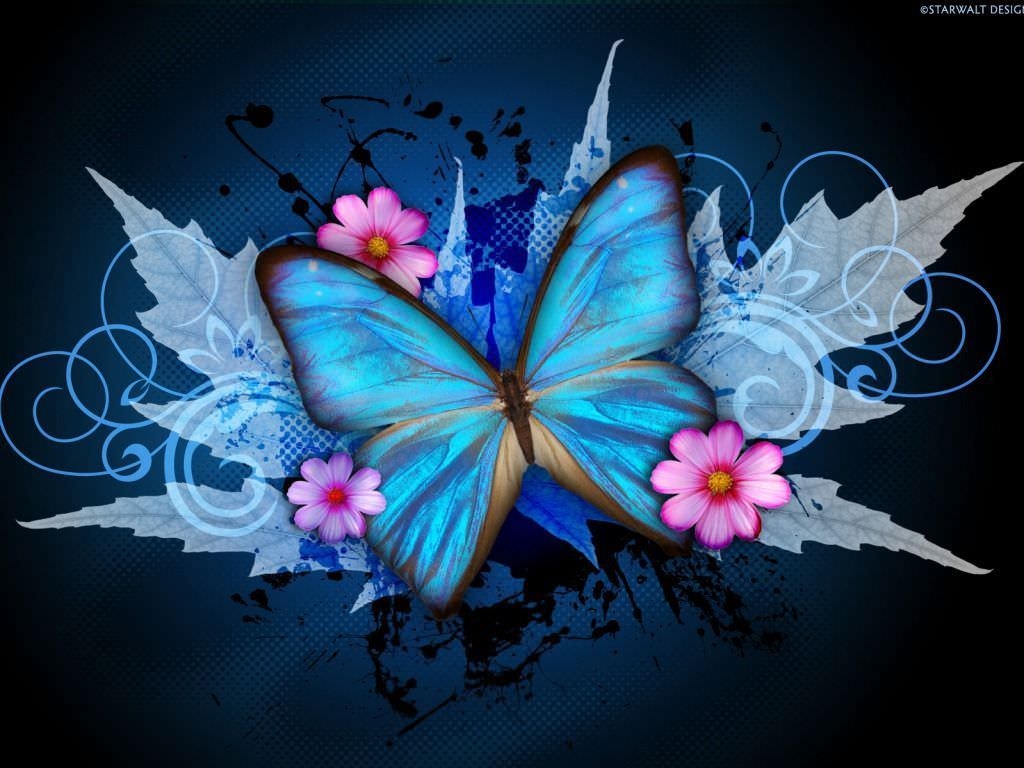 Blue And Pink Butterfly Wallpapers