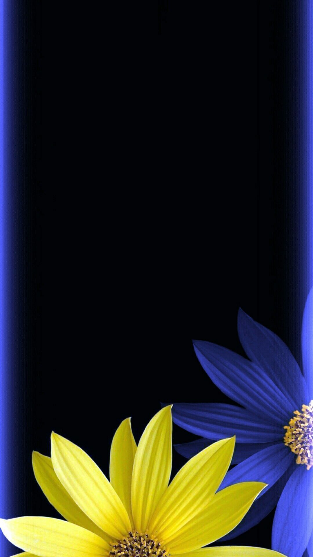 Blue And Yellow Flower Wallpapers