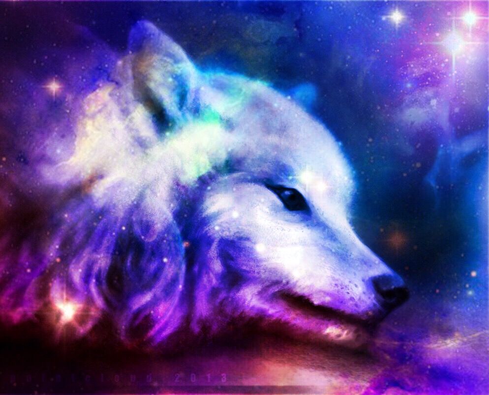 Blue Anime Wolf Wallpapers