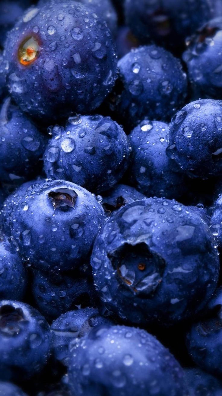 Blue Berry Wallpapers