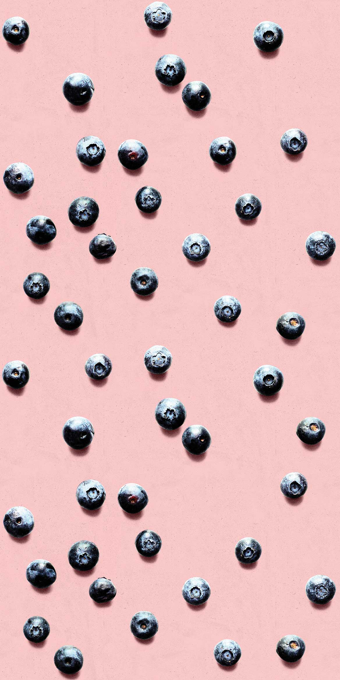 Blue Berry Wallpapers