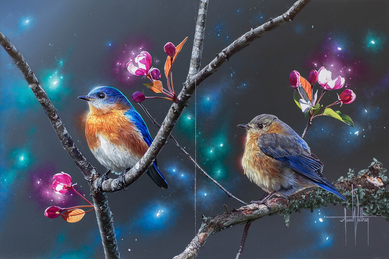 Blue Bird Wallpapers