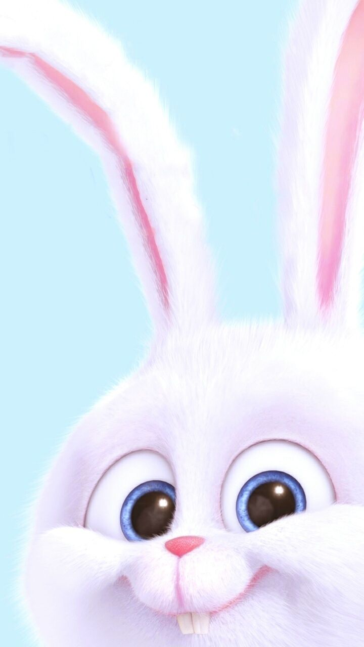 Blue Bunny Wallpapers