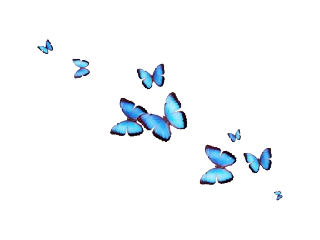 Blue Butterflies Aesthetic Wallpapers