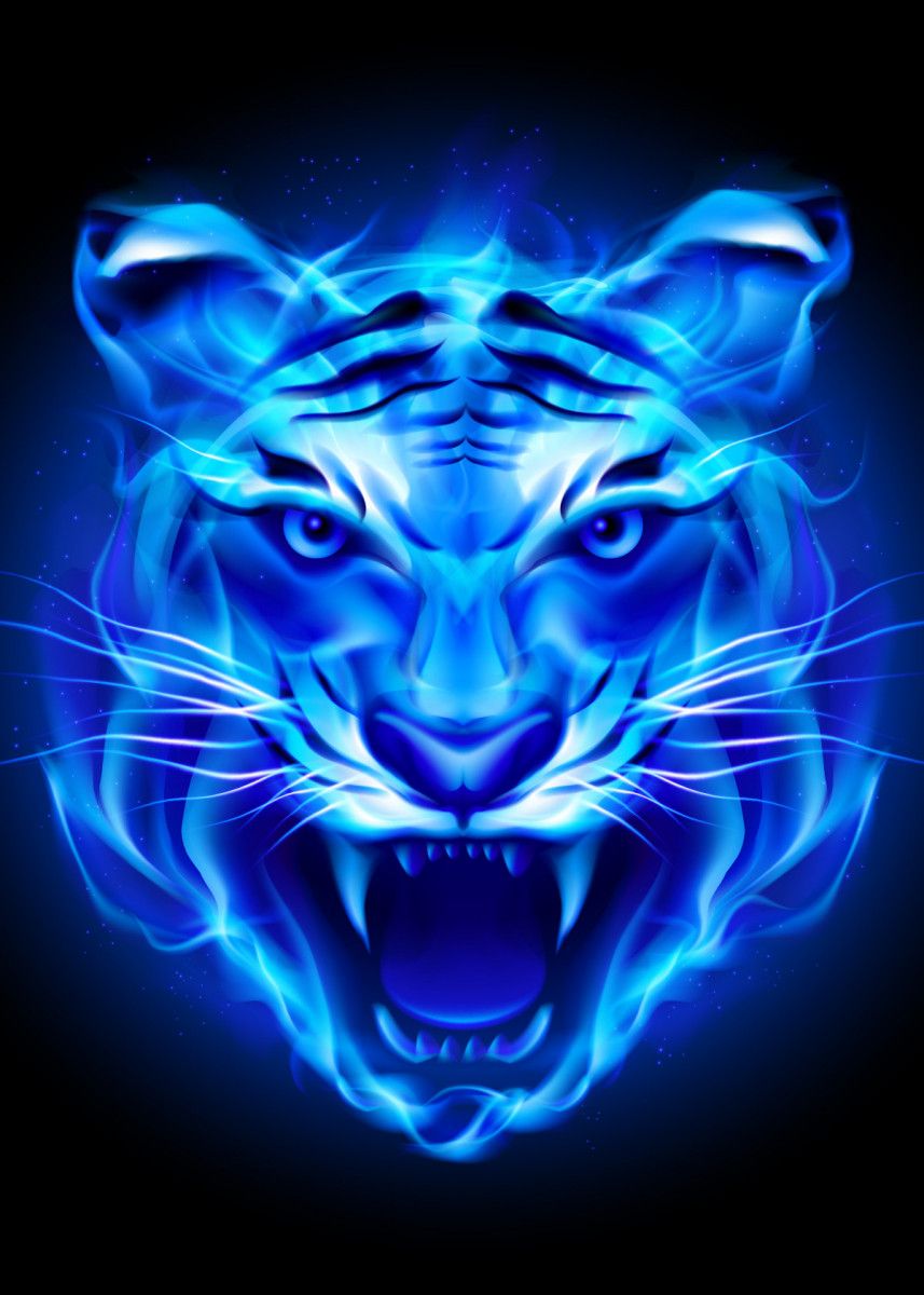 Blue Fire Tiger Wallpapers