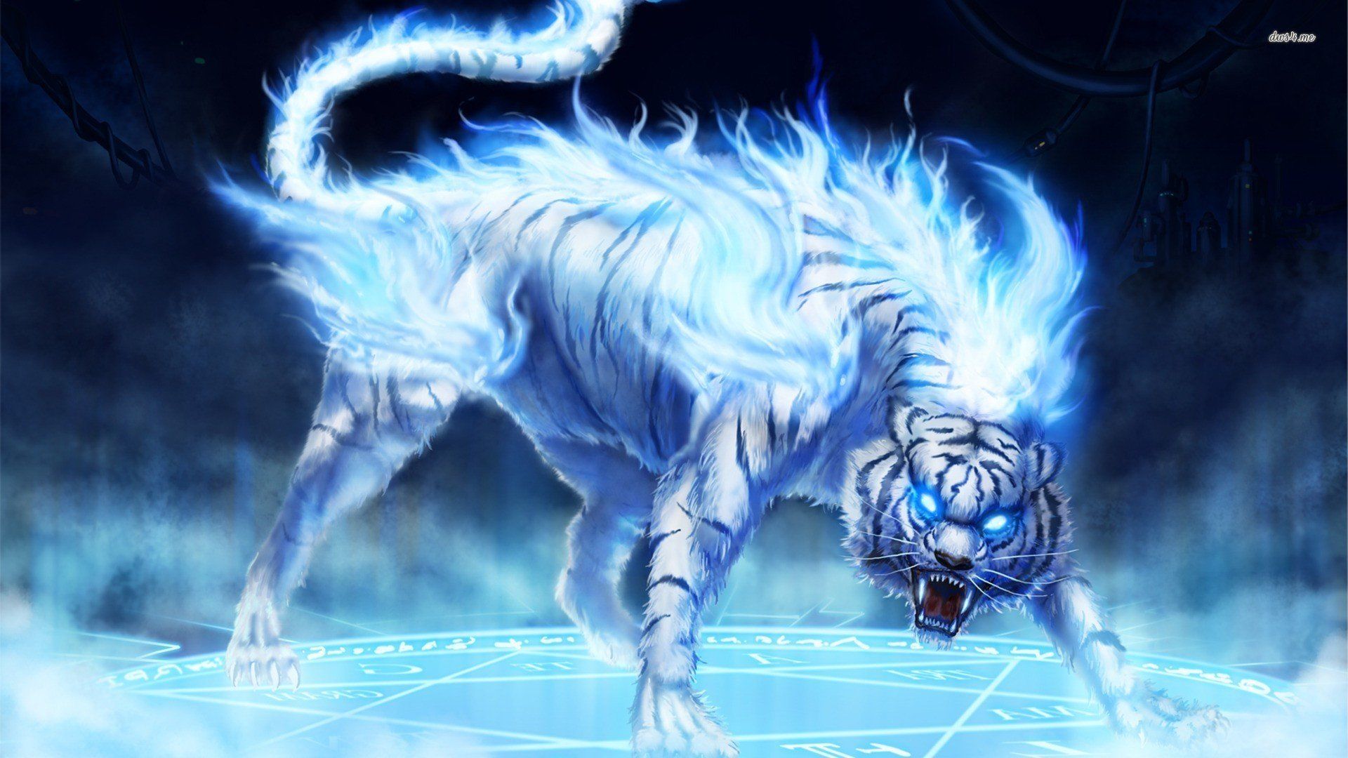 Blue Fire Tiger Wallpapers